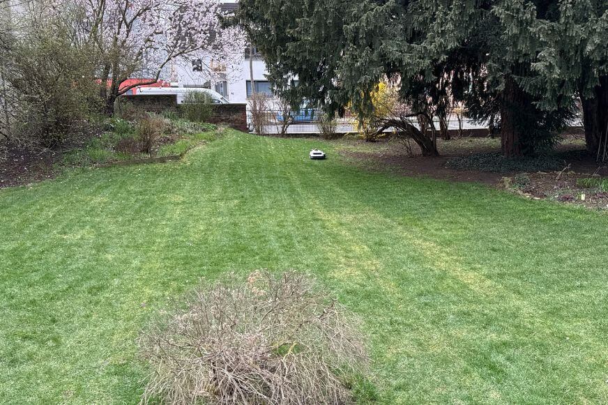 Gleichmäßige Mähbahnen auf dem Rasen nach dem Einsatz des ECOVACS GOAT A1600 LiDAR PRO